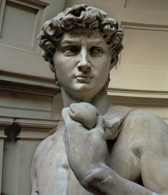 The face of Michelangelo's David